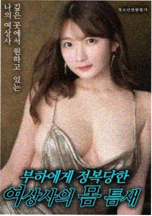 甜蜜蜜电影海报剧照